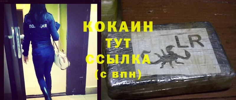 сколько стоит  Казань  КОКАИН Fish Scale 